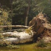 Online reeks: Schetsen en tekeningen – deel III